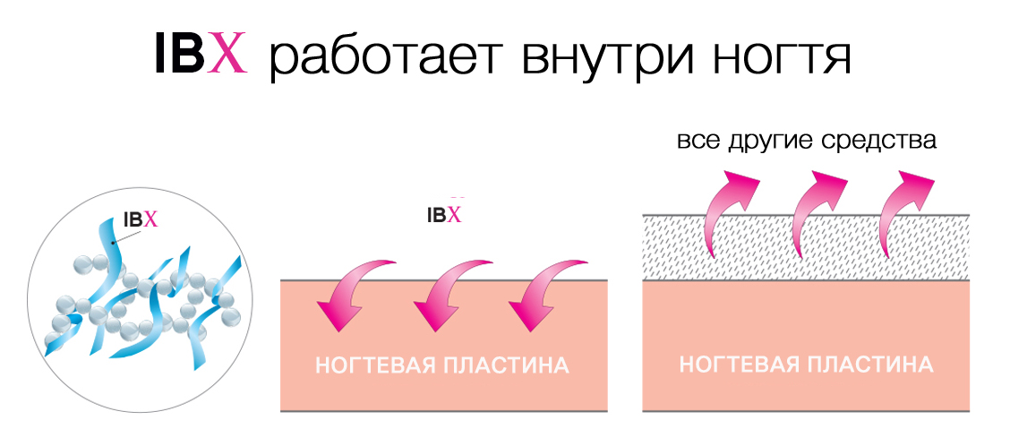 Ibx система для ногтей