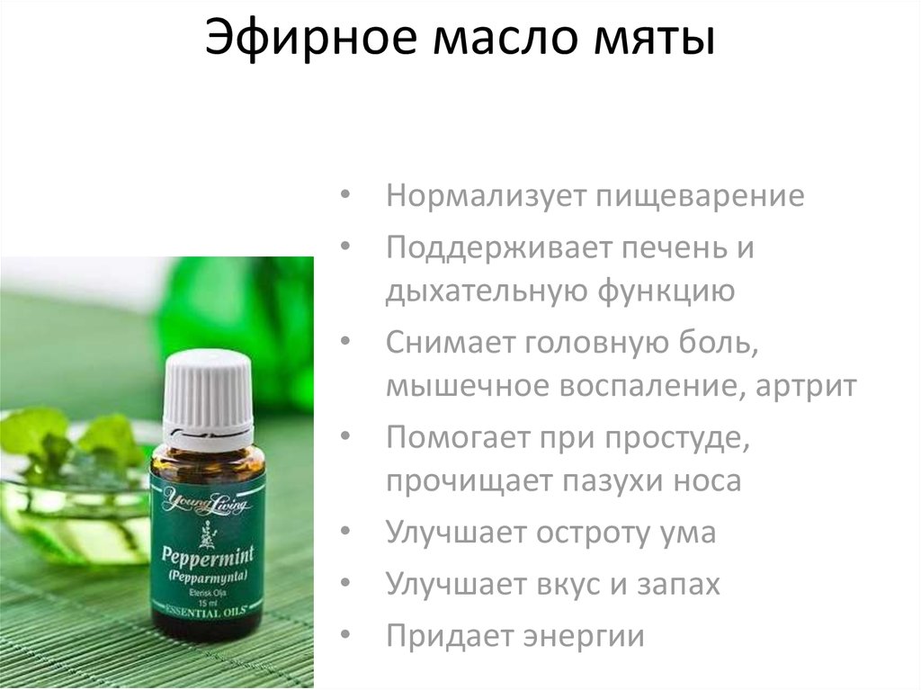 Мятное масло: полезные свойства и применение при простуде, кашле