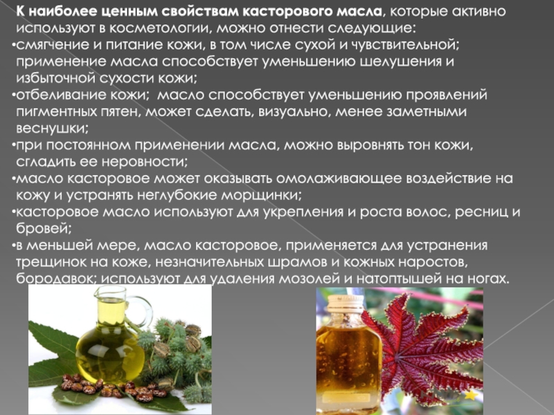 Касторовое масло для ресниц и бровей: пошаговая инструкция нанесения средства