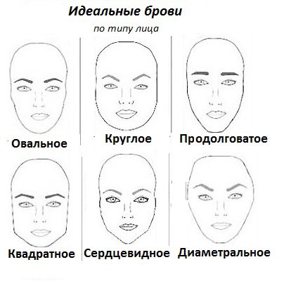Форма бровей для разных типов лица