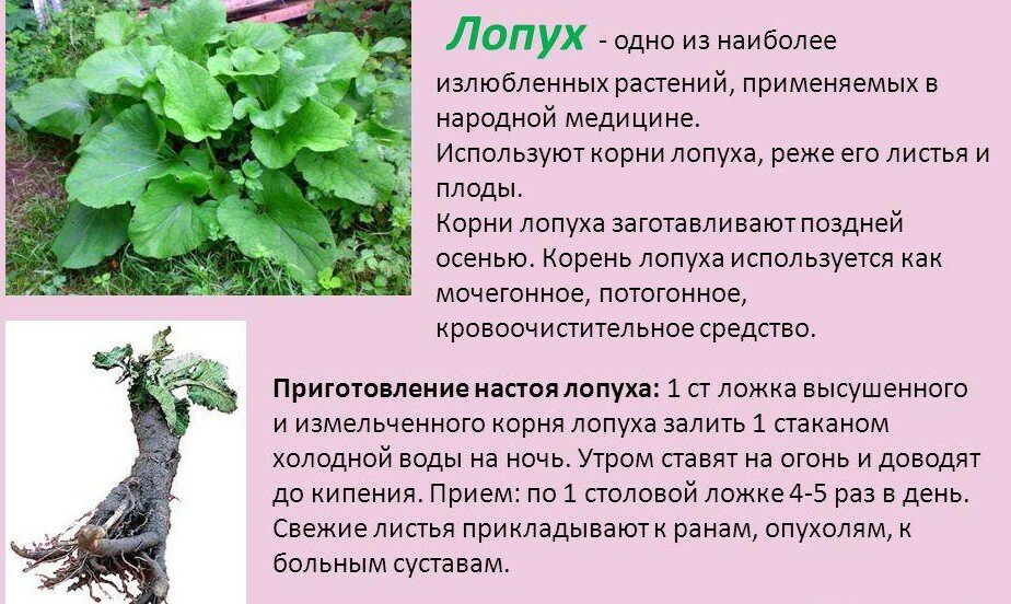 Если кожа на лице шелушится, что делать? причины шелушения и способы его устранения – эл клиника