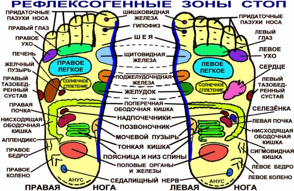 Точечный массаж руки схема