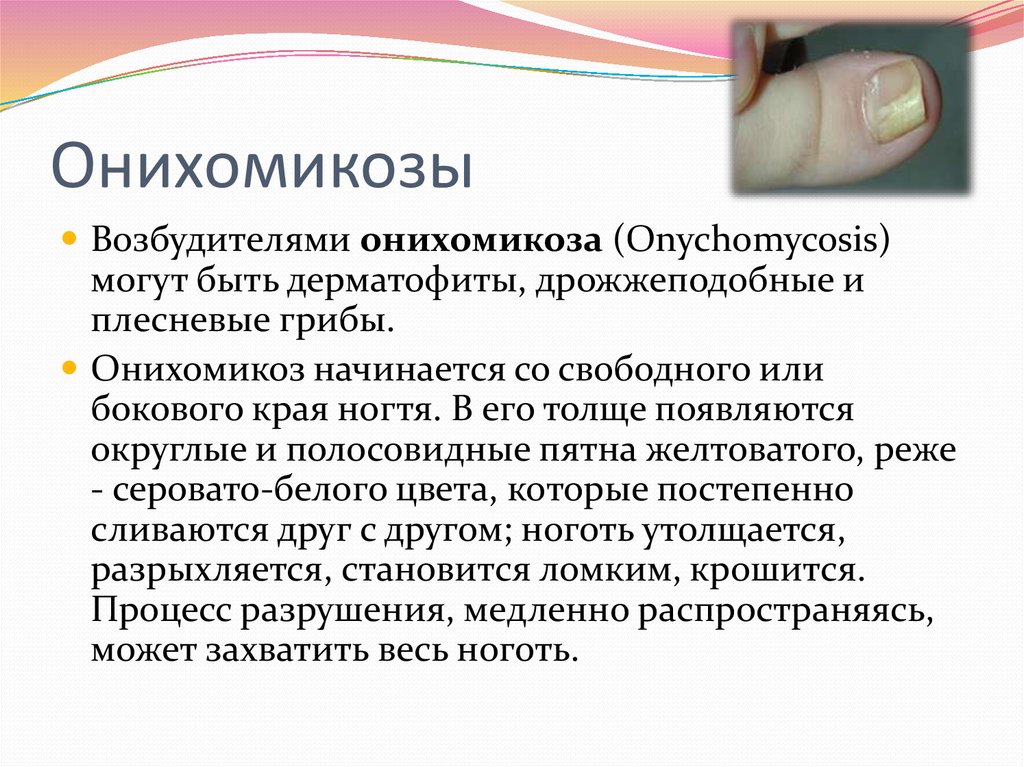 Самые распространенные болезни ногтей: справочная информация | красивые ногти - дополнение твоего образа