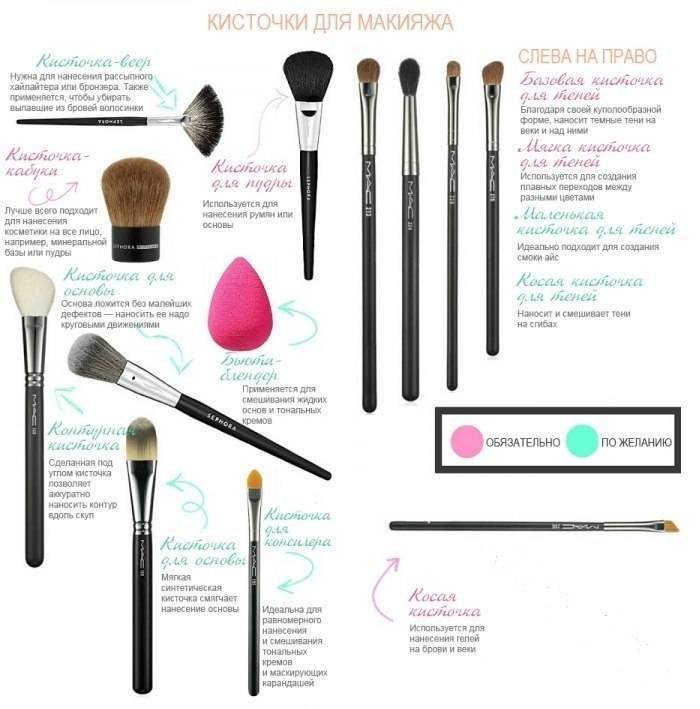 Кисти для макияжа: какие бывают, какая для чего, как выбрать и как пользоваться