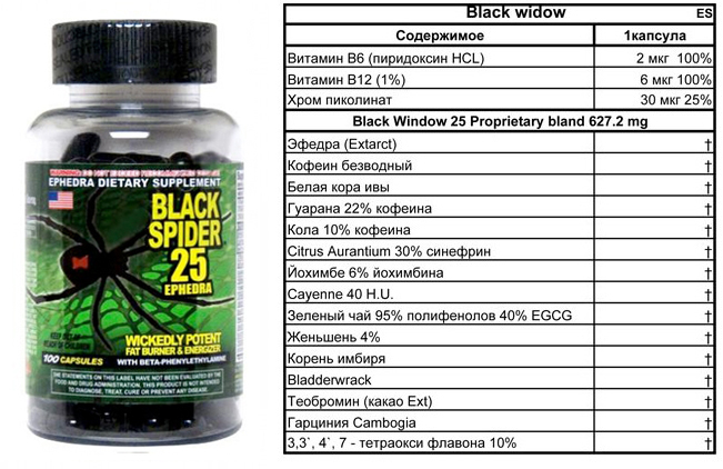 Жиросжигатель black spider 25 ephedra отзывы, как принимать | supermass.ru