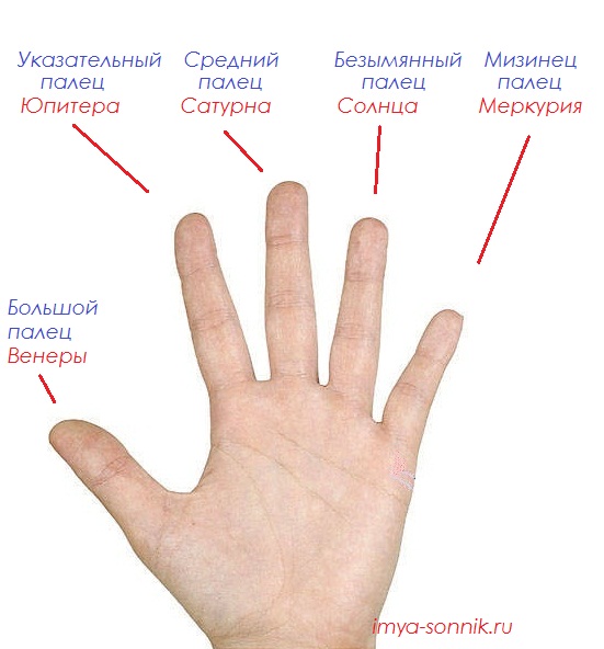 Кольцо на большом пальце правой руки
