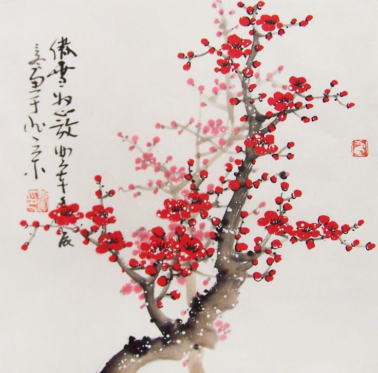 Символ японии – вишня сакура: фото и описание