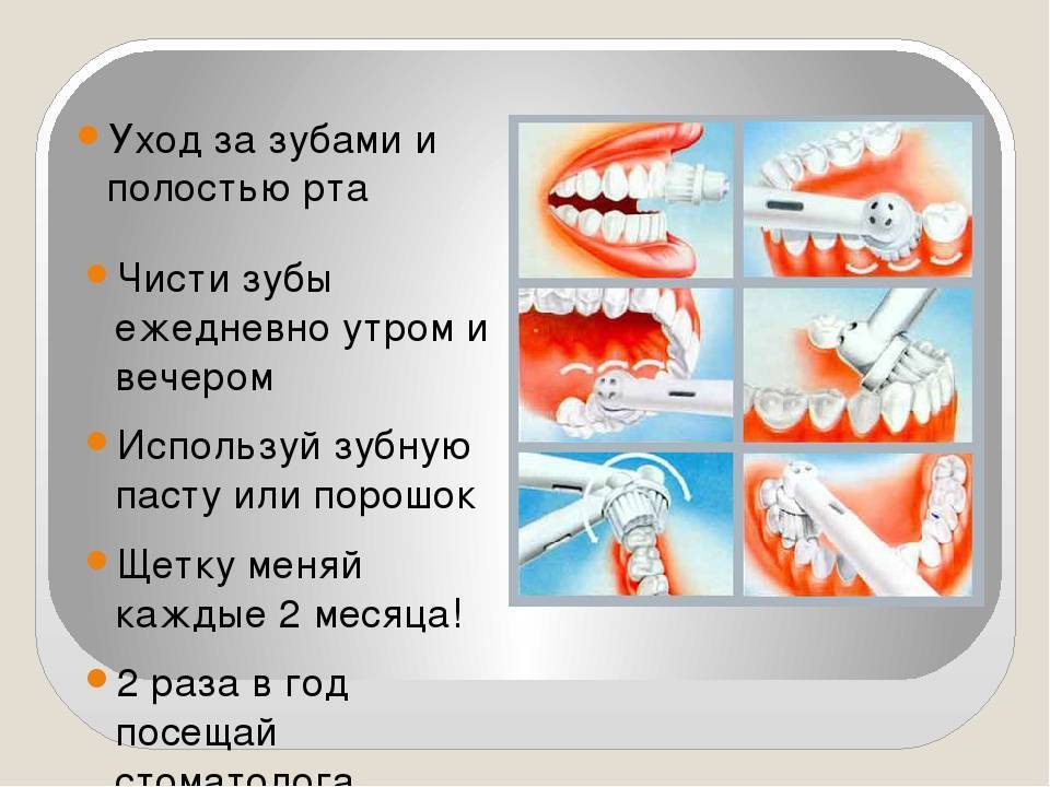Как правильно чистить зубы: 15 советов и техника от врача