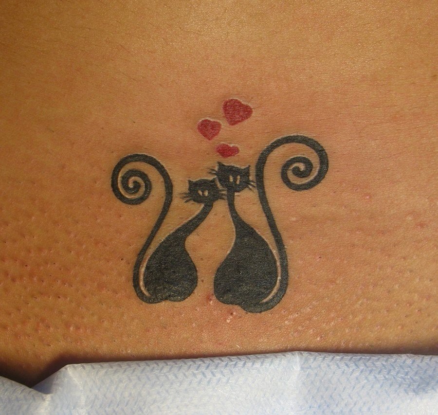 Женские интимные татуировки: 100+ фото интимные тату без цензуры
