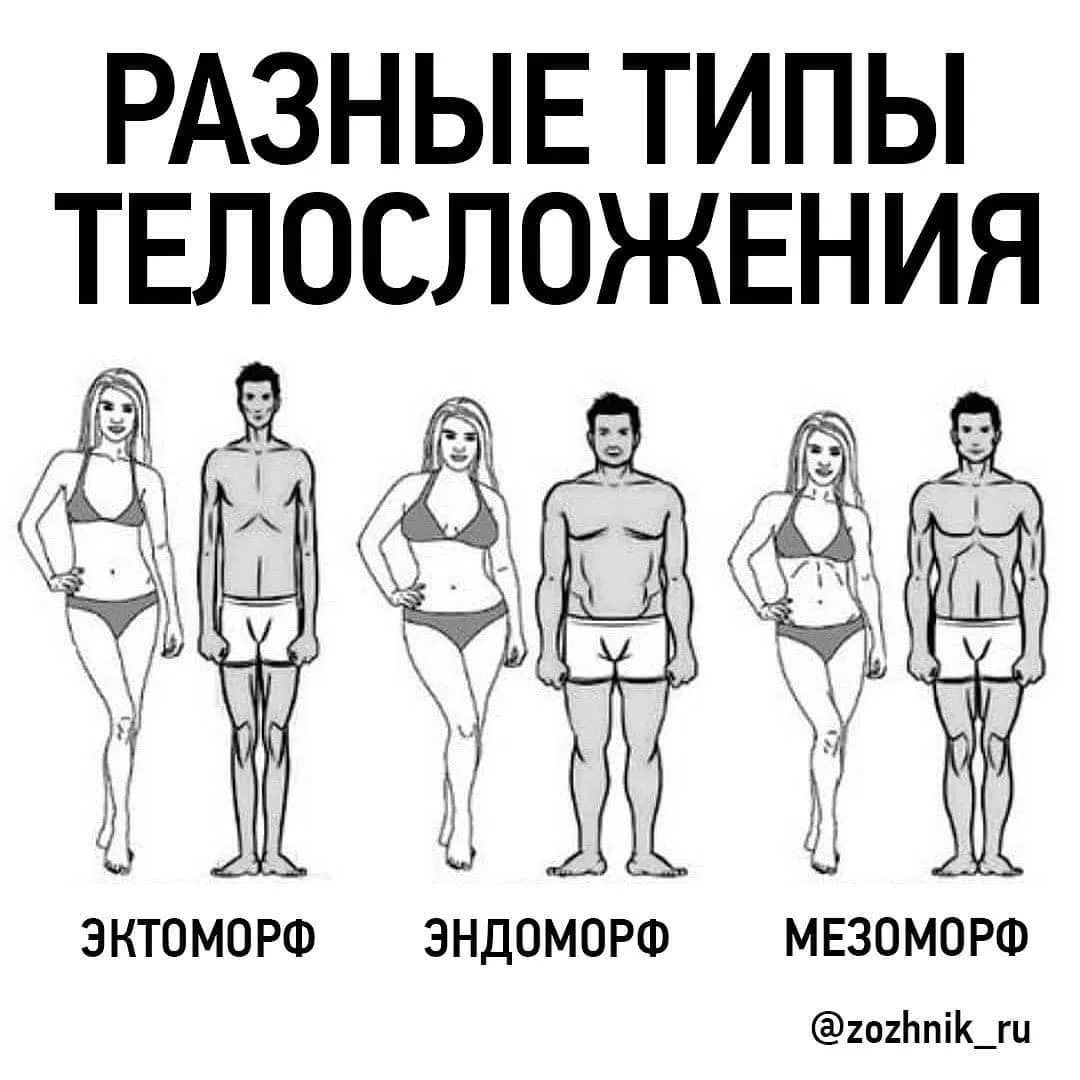 Типы женского телосложения