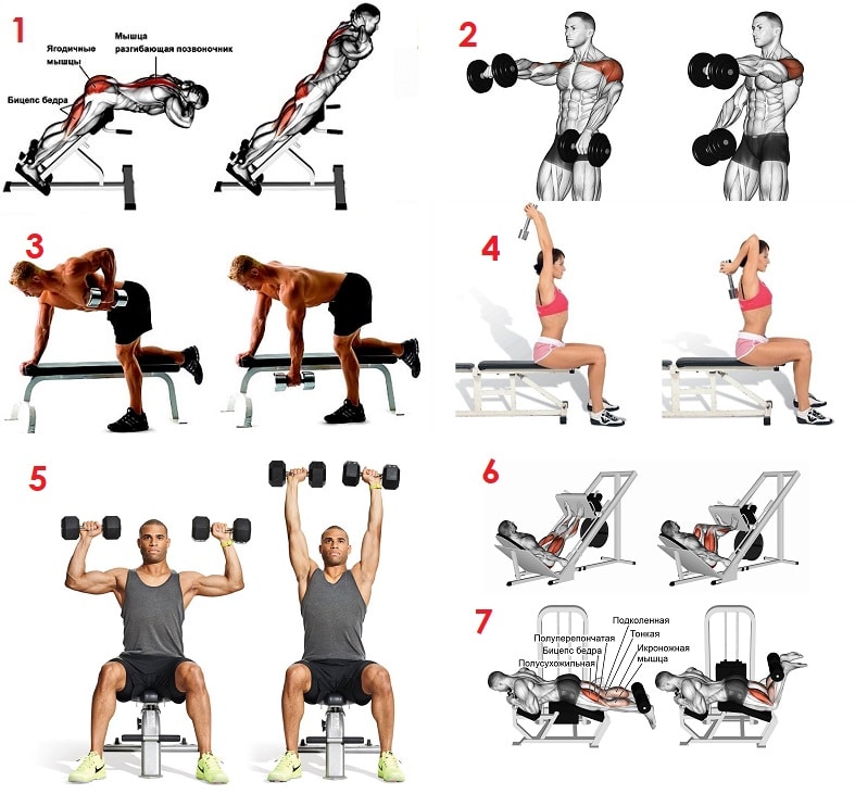 Упражнения на спину в тренажерном зале для мужчин в картинках