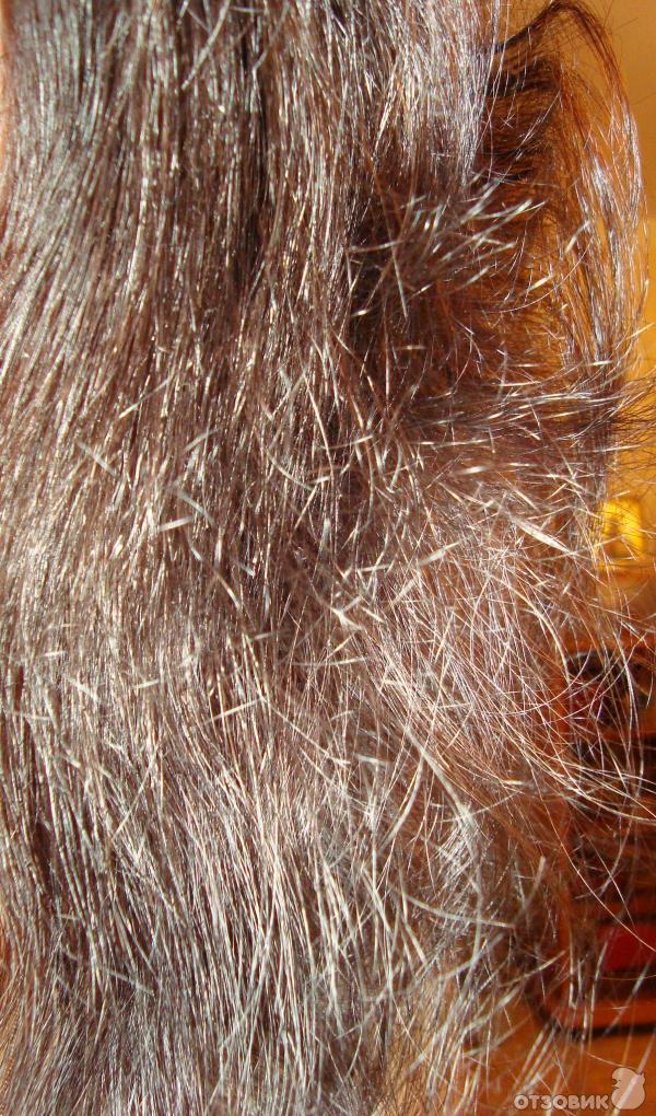 Почему волосы секутся: верните красоту вашим локонам