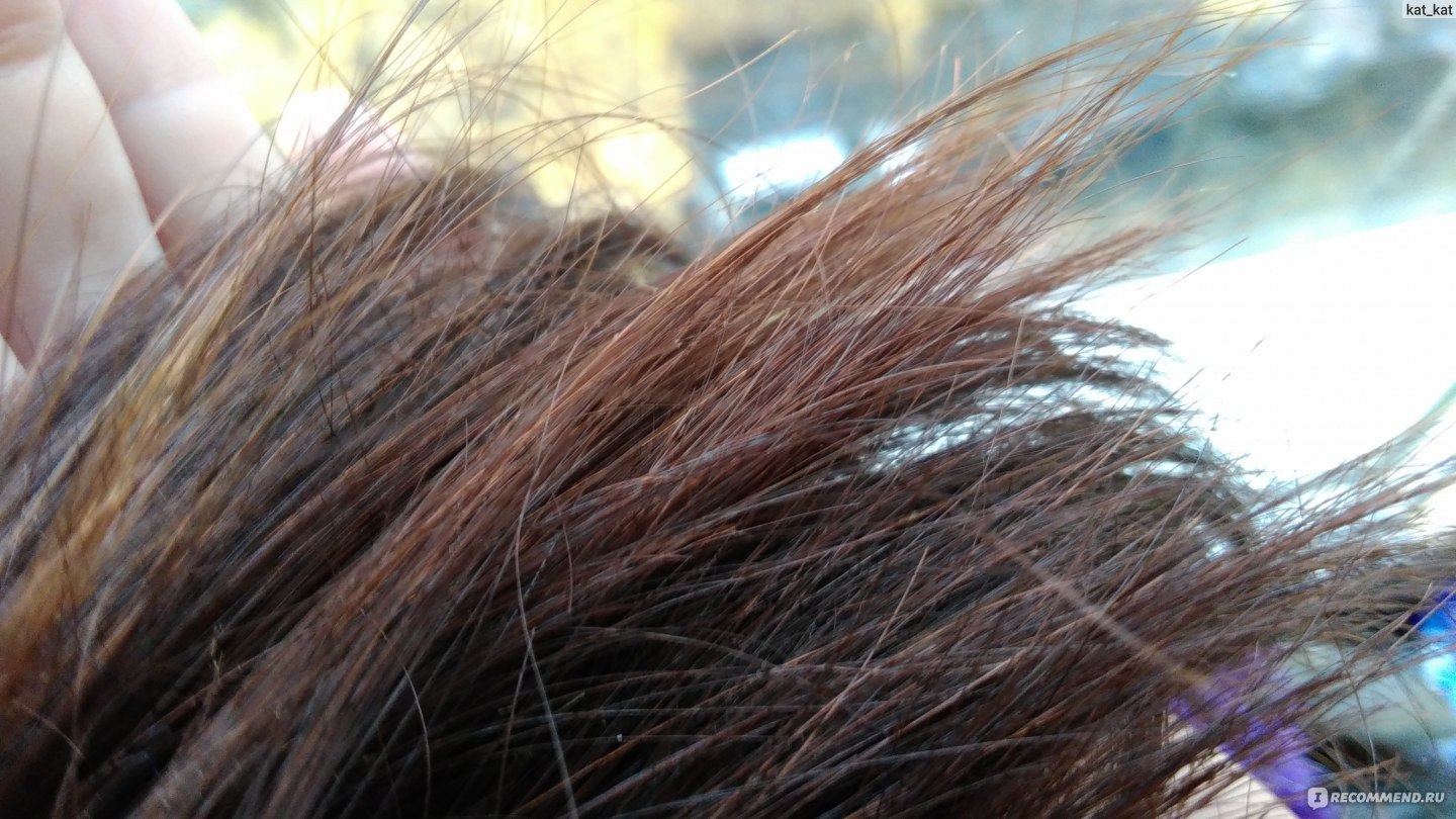 Развенчиваем мифы – отчего секутся кончики волос?