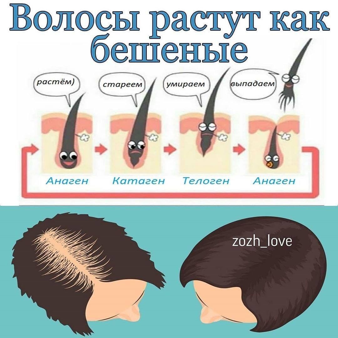 Выпадение волос на бровях: причины и показания к пересадке
