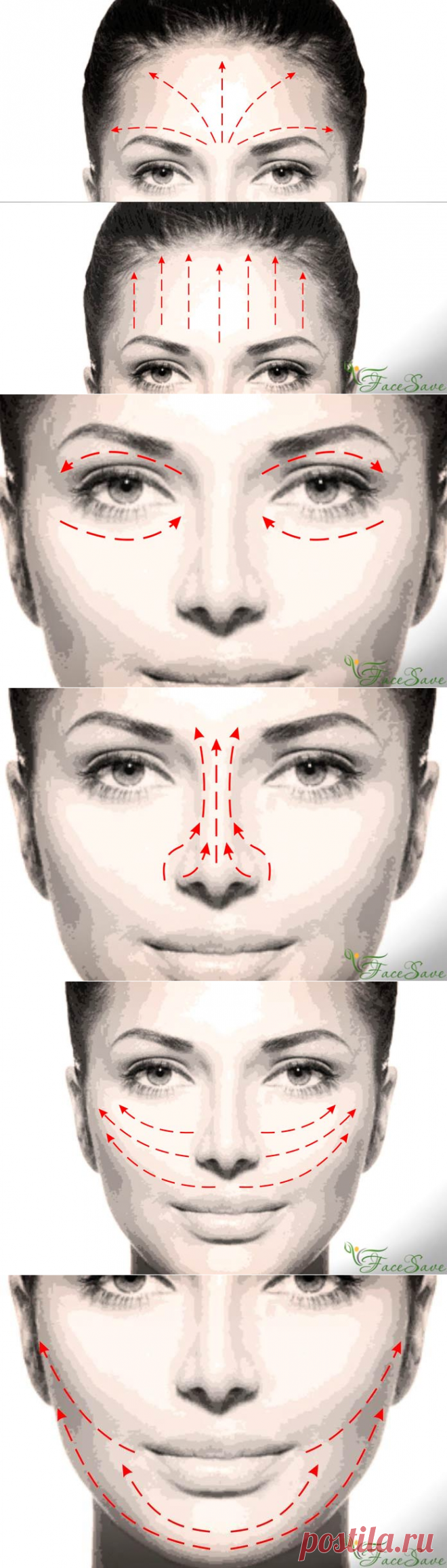 Массаж лица по массажным линиям фото