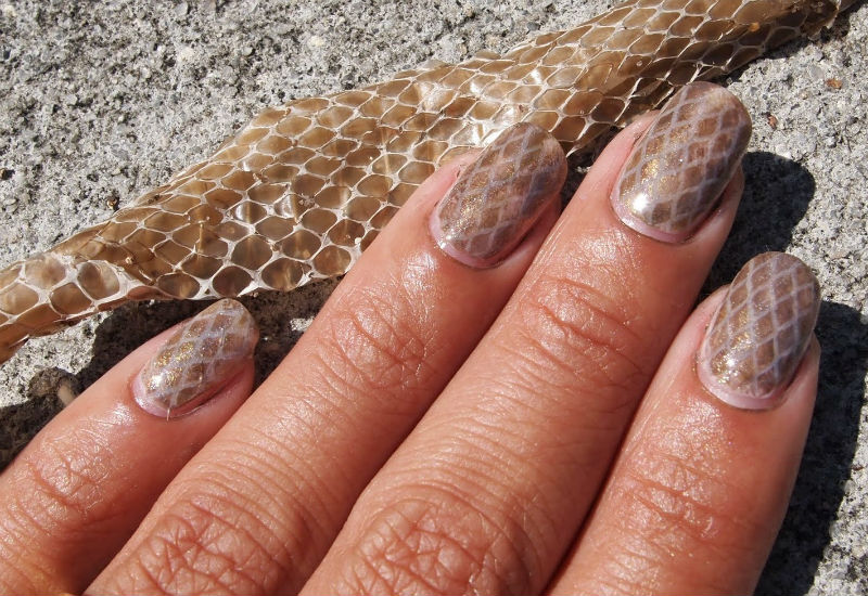Маникюр с изображением рептилий и змеиной кожи на ногтях