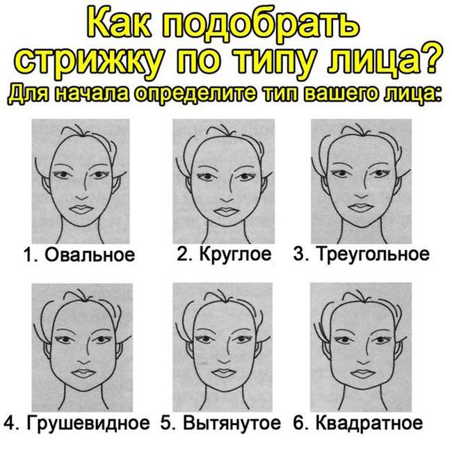 Типичные формы лица и их характеристика