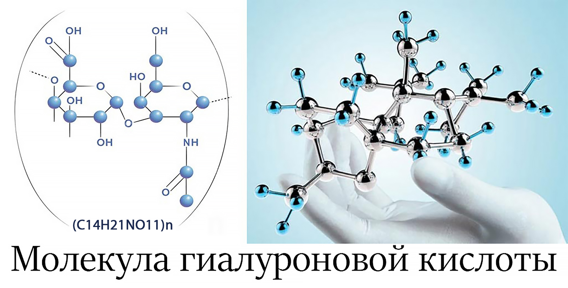 Гиалуроновая кислота картинки