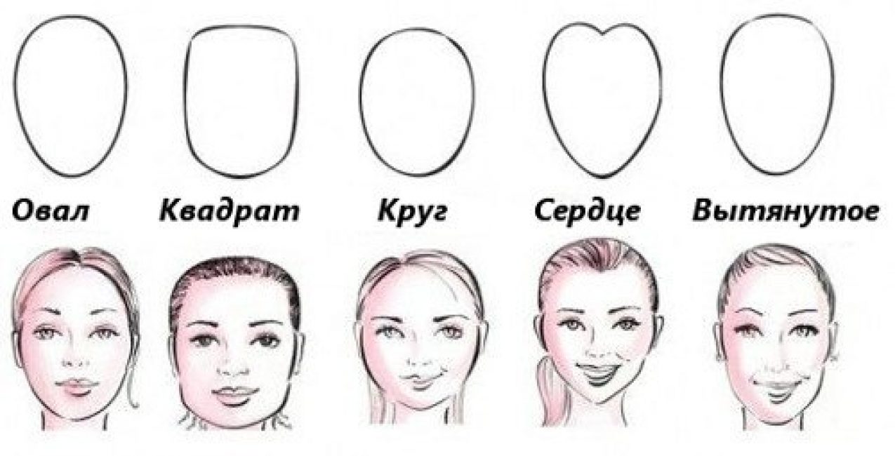 Овал лица рисовать как правильно