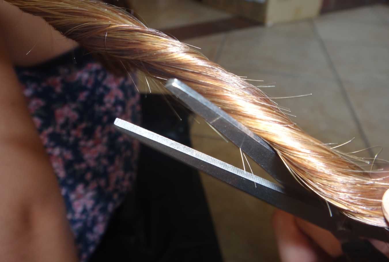 Почему секутся волосы: что делать [5 советов] с секущимися кончиками