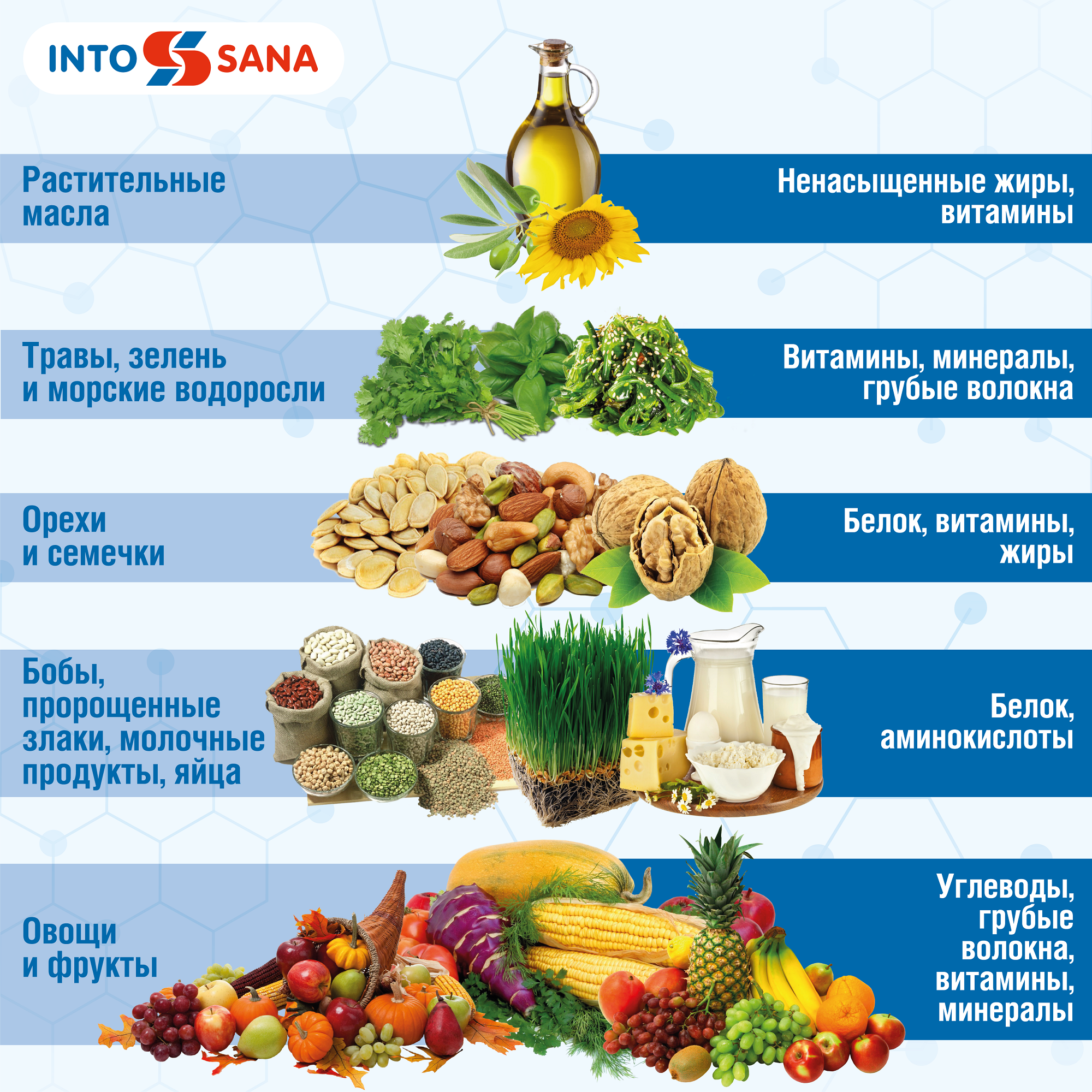 Можно есть сайт. Пирамида питания сыроеда. Сыроедение список продуктов. Сыроедение продукты. Перечень продуктов для веганов.