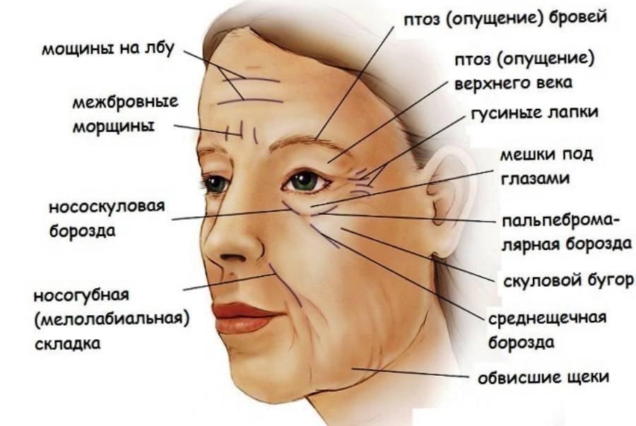 Морщины и характер человека с картинками