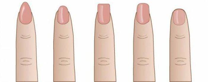 5 признаков, чтобы определить характер по форме ногтей