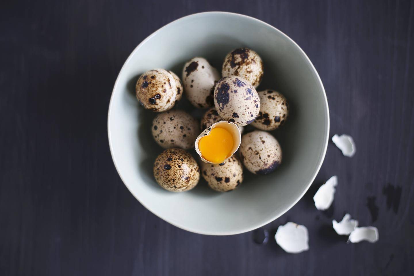 Маска из яйца для лица [рецепты] — яичные маски от морщин, для сухой кожи, очищающие, питательные