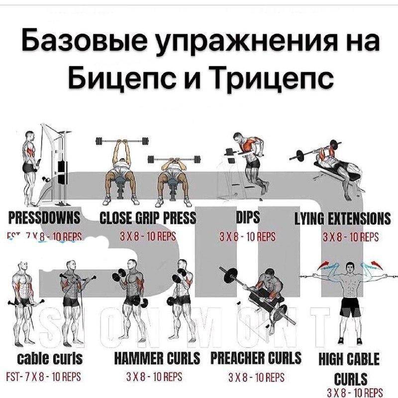 Программа тренировок для девушек в спортзале