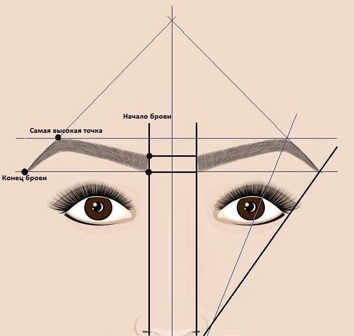 Схема правильных бровей правильных