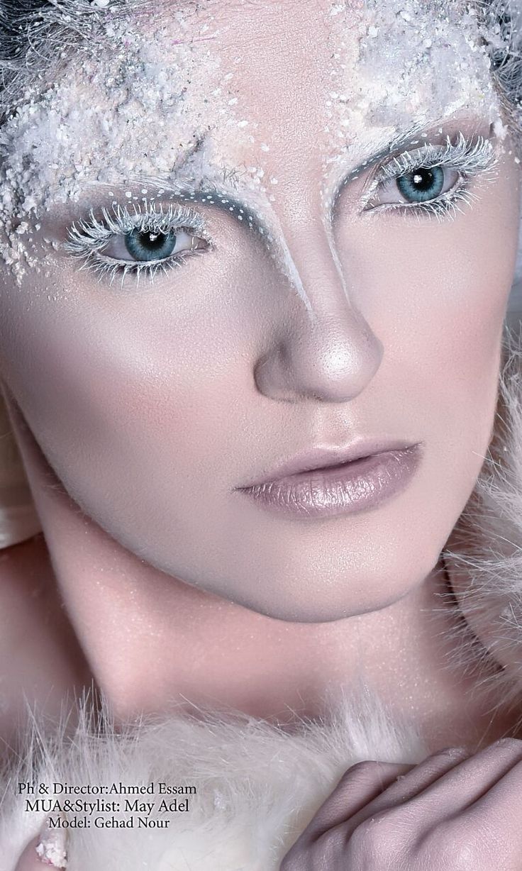 Зимний макияж цветотипа зима. как сделать макияж для девушки зимы пошагово видео фото