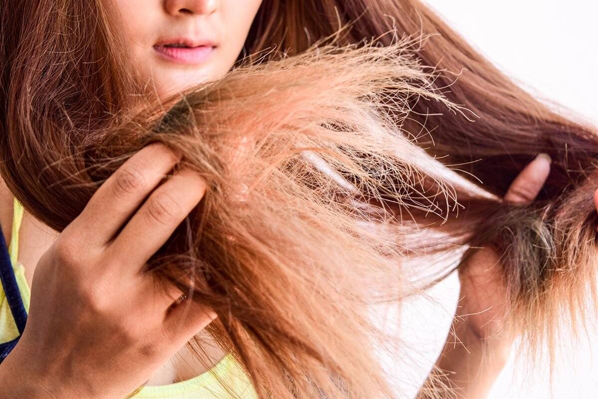 Как ухаживать за сухими волосами, причины сухости