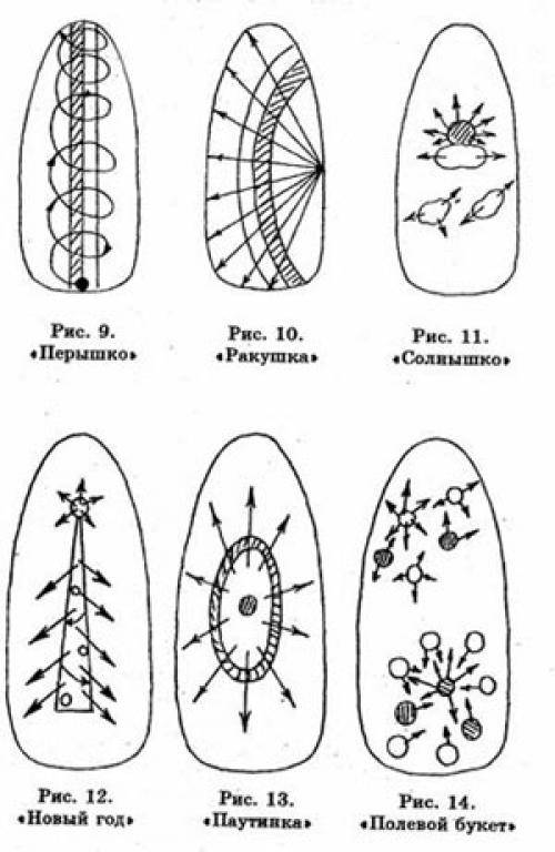Рисунки на ногтях для начинающих: описание с пошаговым фото
