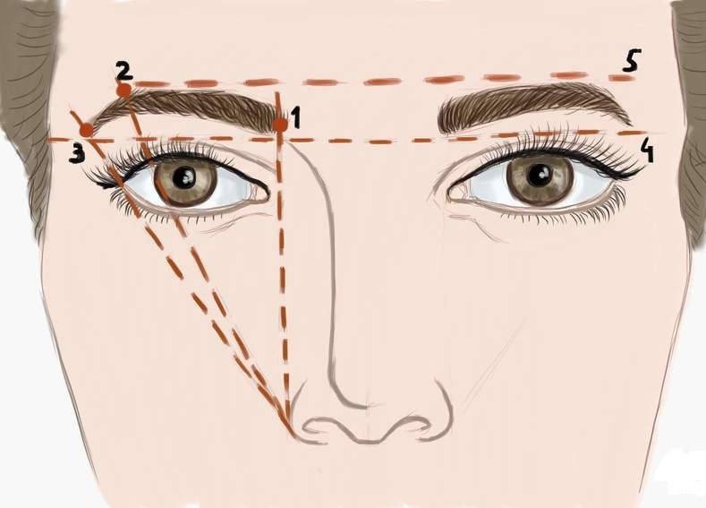 Эскиз бровей перед перманентным макияжем с ниткой
