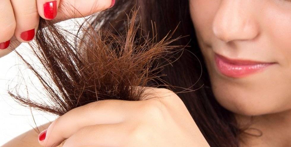 Что делать если секутся кончики волос?