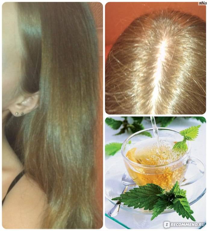 Полезна ли ромашка для волос: ополаскивание, осветление и уход