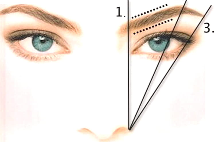 Как называется наивысшая точка брови