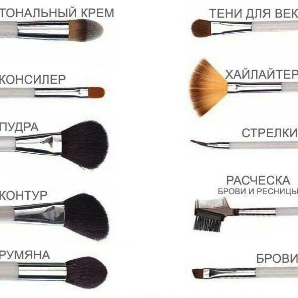 Кисти для макияжа какая для чего нужна c фото - 2womans.ru