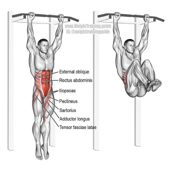 Подтягивания на турнике какие мышцы работают в картинках