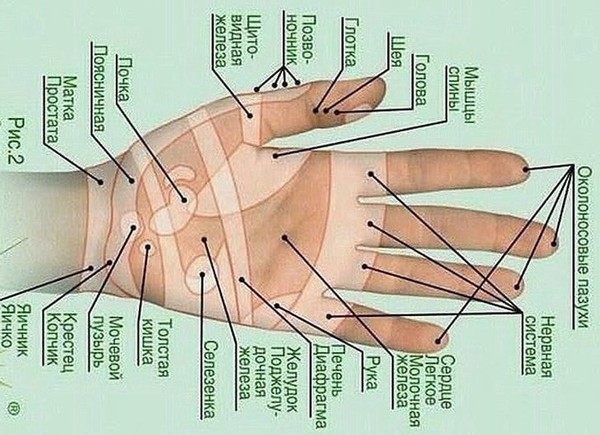 Массаж пальцев рук: фото, видео
