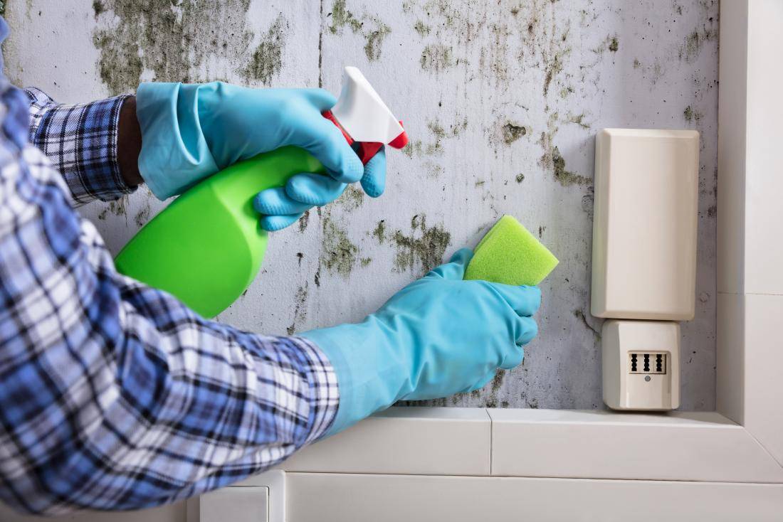 Как избавиться от запаха сырости в квартире и частном доме