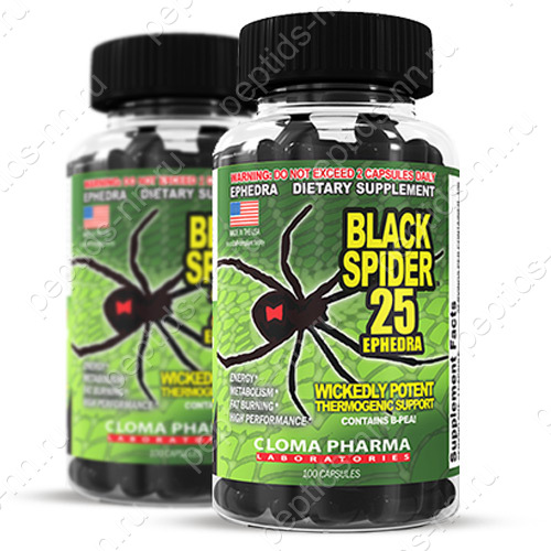 Жиросжигатель black spider: описание, свойства и правила приема мощного препарата