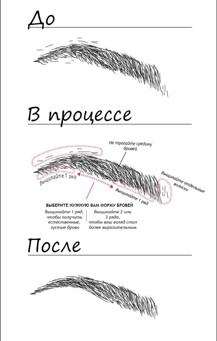 Схема правильных бровей правильных