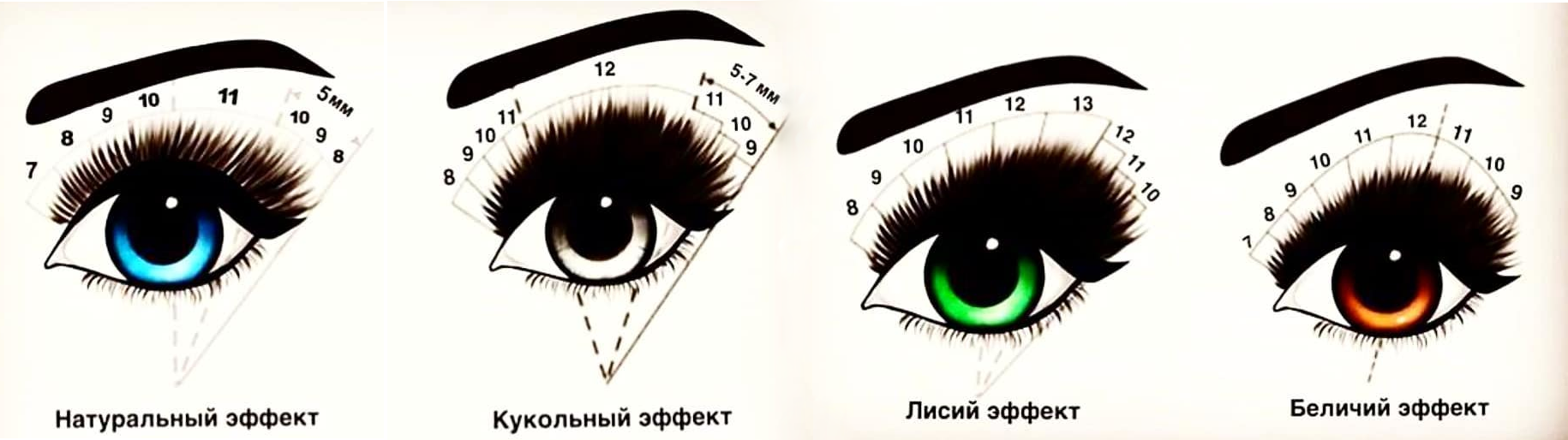 Схема ресниц. Схема наращивания ресниц натуральный эффект 12 длина. Наращивание ресниц Лисий эффект 2д схема. Лисий эффект наращивания классика схема. Беличий эффект наращивание ресниц 3д схема.