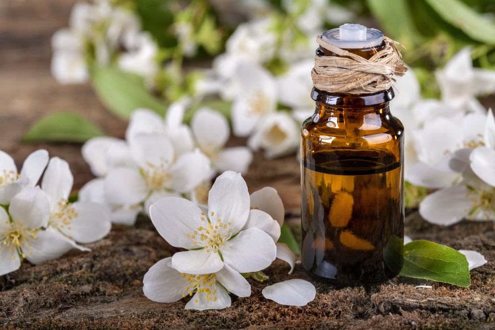 Эфирное масло жасмина — свойства и применение, в ароматерапии, косметологии, медицине, магические свойства масла