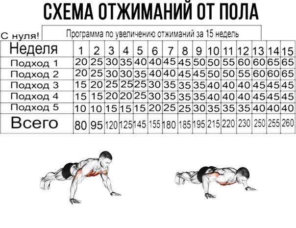 Схема отжиманий от пола на 30 дней для мужчин