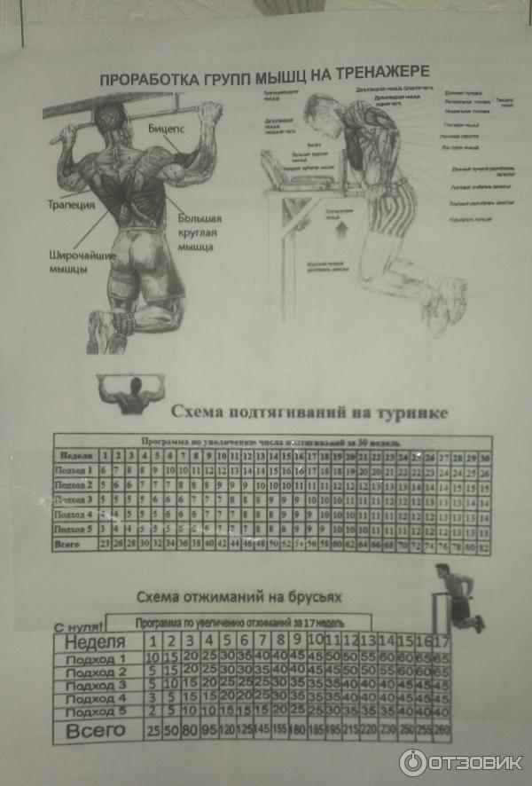 Как научиться подтягиваться на турнике с нуля: схема тренировок, полезные рекомендации