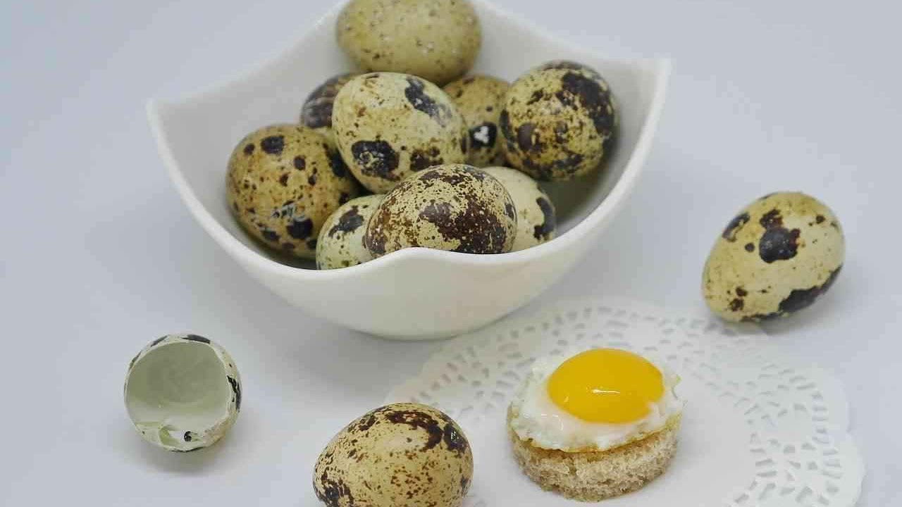 Маринованные перепелиные яйца: рецепты закуски разного цвета