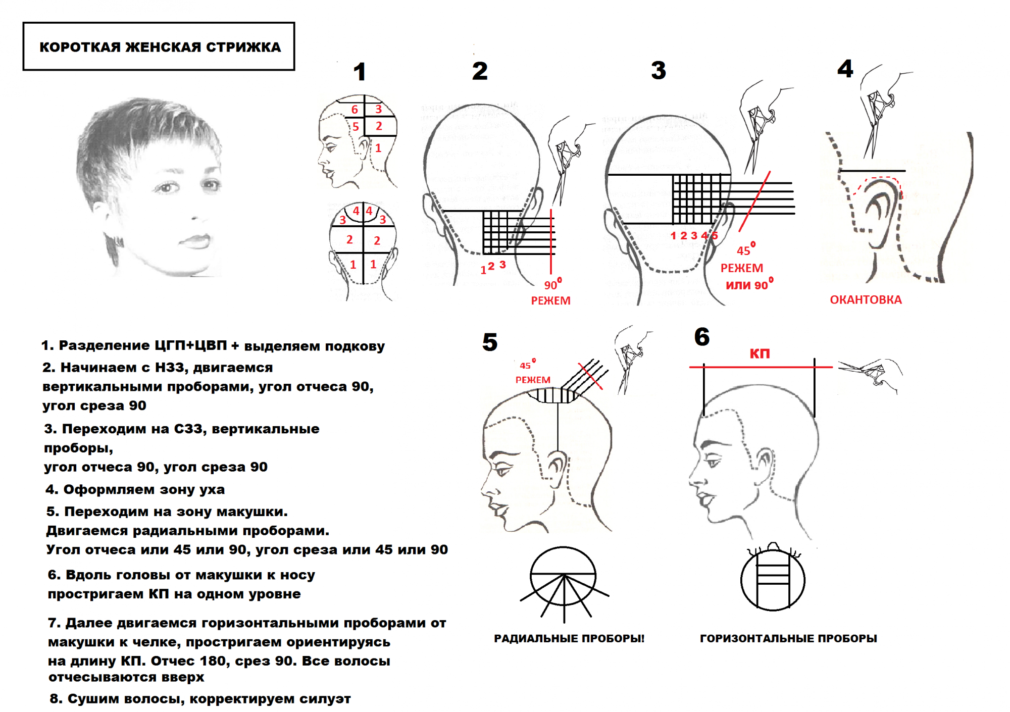 Технология выполнения стрижка Гарсон на короткие волосы. Стрижка Гарсон технология выполнения со схемами. Стрижка Пикси схема выполнения стрижки. Схема мужской стрижки полубокс. Как научиться стричь мужские стрижки